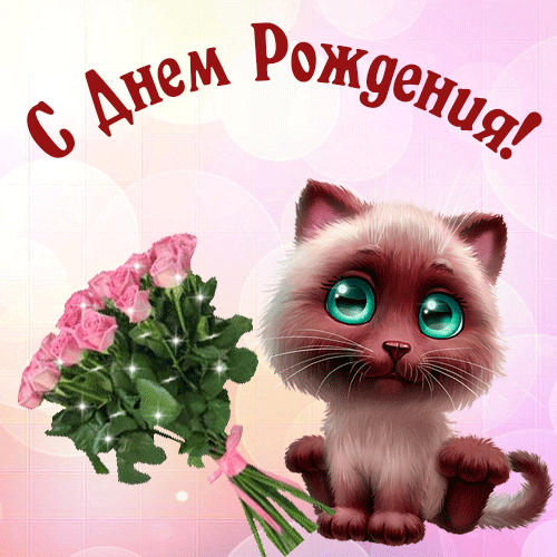 Открытка С Днем Рождения - котик с цветами гифка
