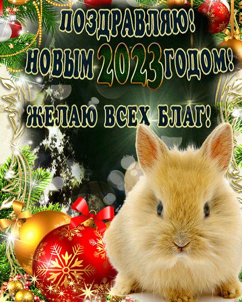 Открытка С Новым 2023 годом поздравляю желаю всех благ год кролика