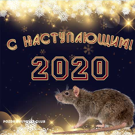 С Наступающим 2020 годом открытка с крысой
