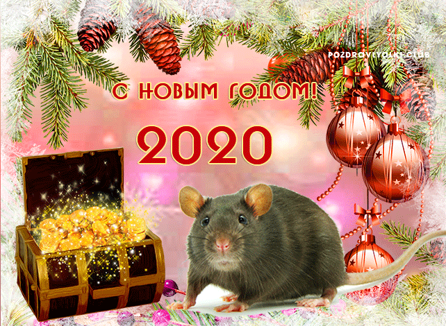 Открытка С новым годом 2020 крыса гифка