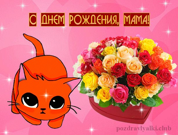 Красивая открытка С Днем Рождения Мама - букет цветов котик
