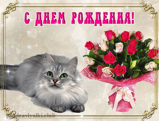 Оригинальная мерцающая открытка С Днем Рождения кошка и букет цветов
