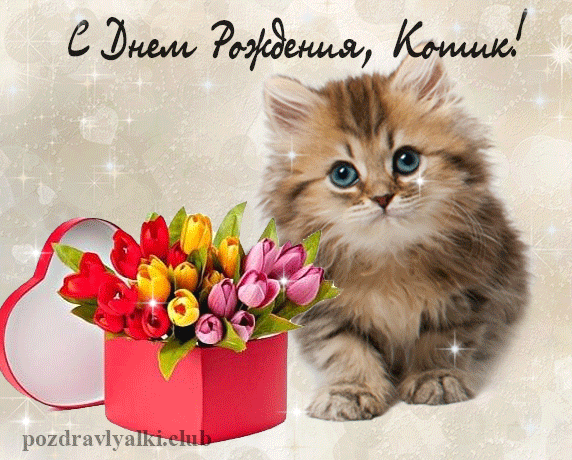 Красивая Мерцающая открытка С Днем Рождения Котик гифка с котенком