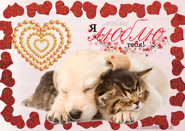 Я люблю тебя открытка гиф мерцающая — милый котенок и щенок