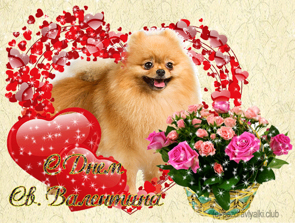 С Днем Святого валентина открытка с собакой гифка