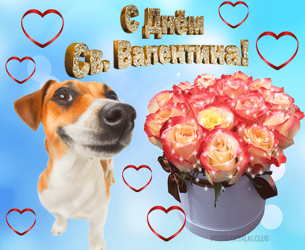 Открытка С Днем Святого Валентина с собакой и букетом цветов мерцающая
