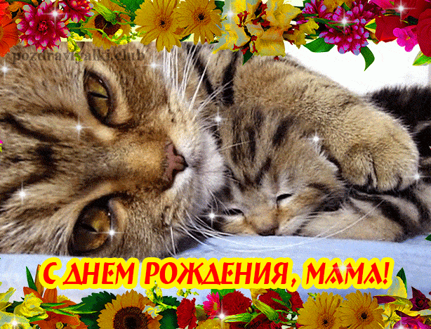 Открытка С Днем Рождения маме мерцающая гифка с кошкой мамой и котенком