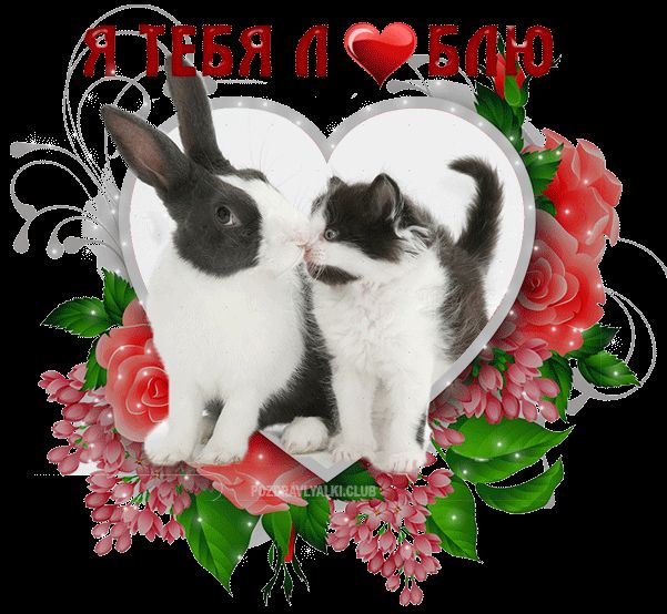Я тебя люблю гифка открытка - котенок и кролик сердечко
