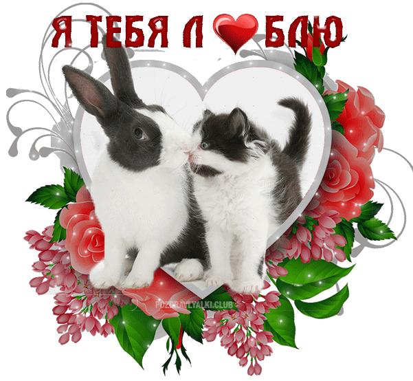 Я тебя люблю гифка открытка — котенок и кролик сердечко