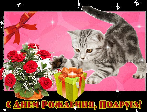Красивая открытка С Днем Рождения Подруга букет цветов с котенком мерцающая гифка