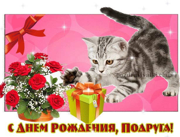 Открытка С Днем Рождения Подруга букет цветов с котенком мерцающая гифка