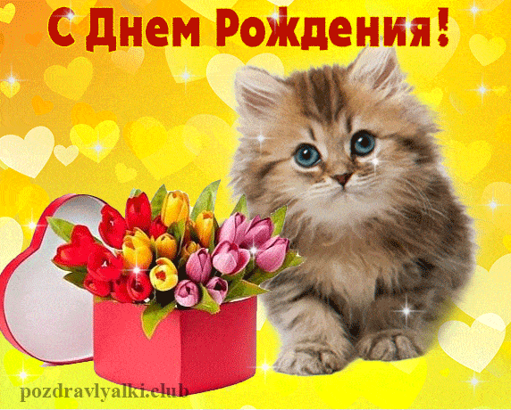 Открытка С Днем Рождения котенок гиф мерцающая цветы в коробке