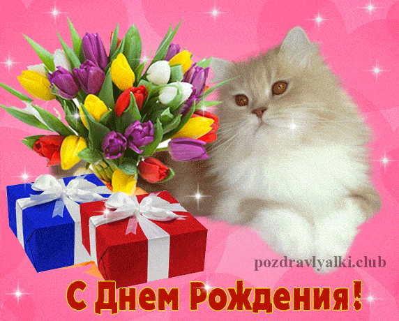 Открытка С Днем Рождения кошка с букетом цветов гиф мерцающая