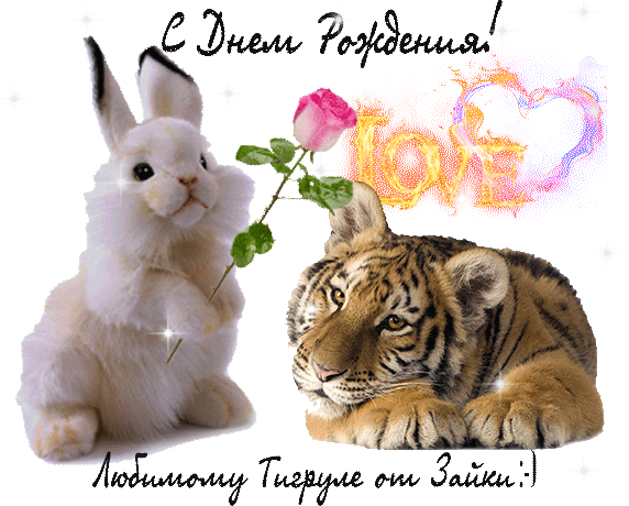 С Днем рождения Любимому тигру от зайки красивая открытка для парня