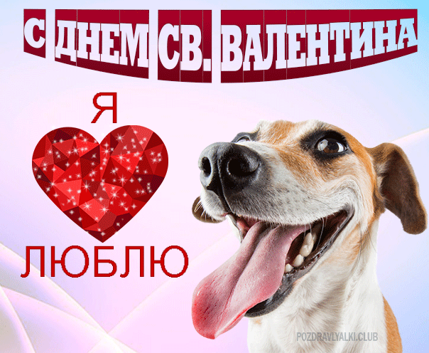 С Днем всех влюбленных открытка с собакой сердечко от парня
