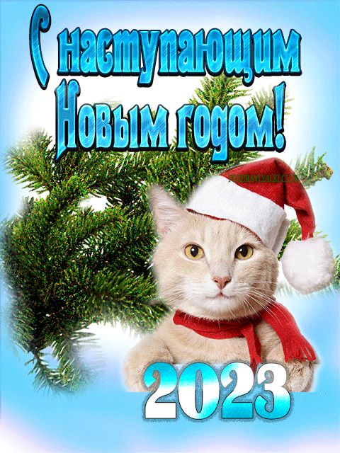 С наступающим годом 2023 открытка с котом мерцающая