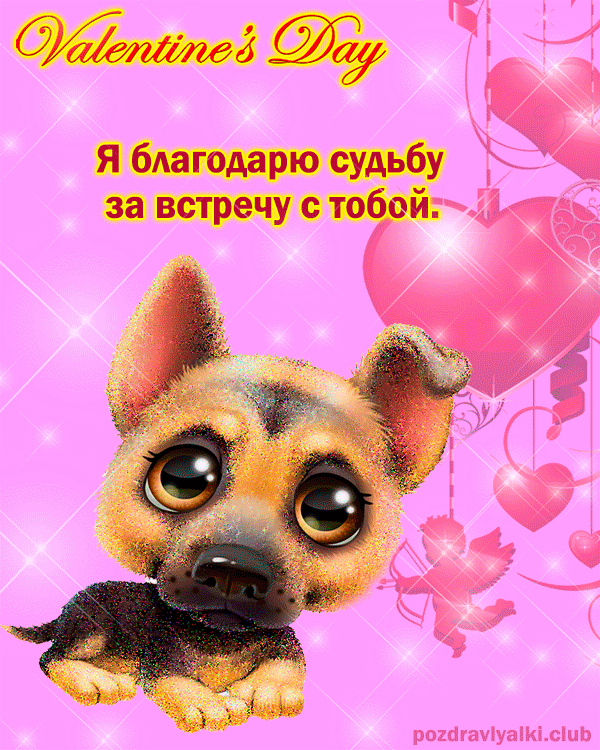 Живая открытка со щенком День Святого Валентина!