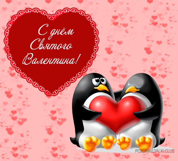 С днем святого Валентина поздравляют два пингвина! Открытка Валентинка