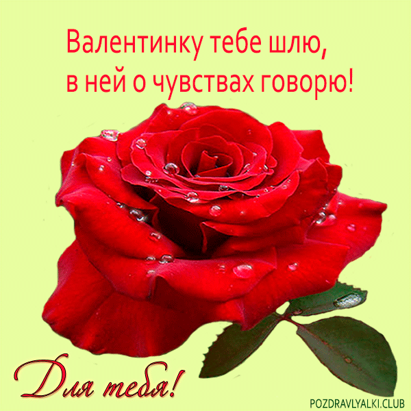 Валентинка красивая роза открытка живая!