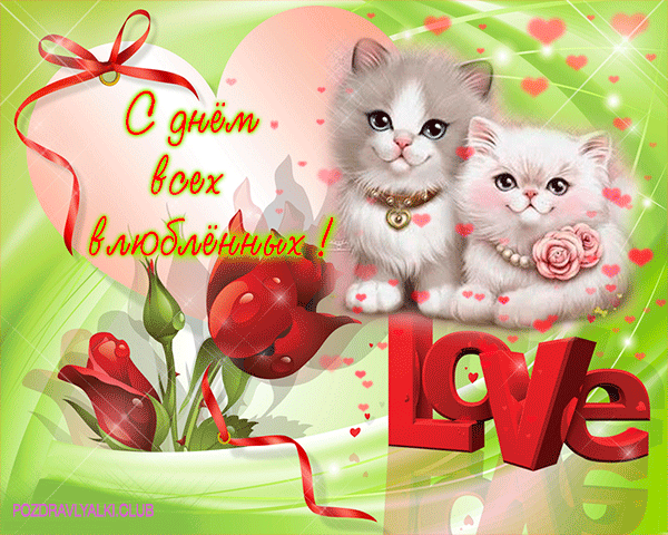 С днем всех влюбленных открытка котятки! 14 февраля