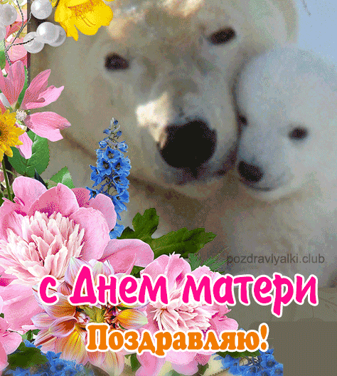 Поздравляю С Днем Матери открытка медведица с малышом