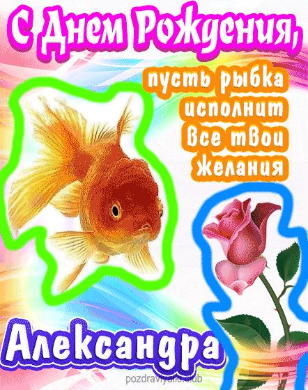 С днем рождения Александра пусть рыбка исполнит все твои желания