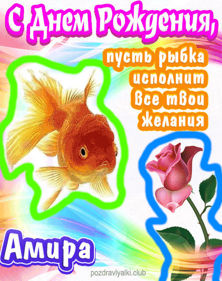 С днем рождения Амира пусть рыбка исполнит все твои желания