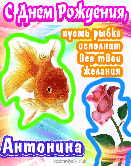 С днем рождения Антонина пусть рыбка исполнит все твои желания
