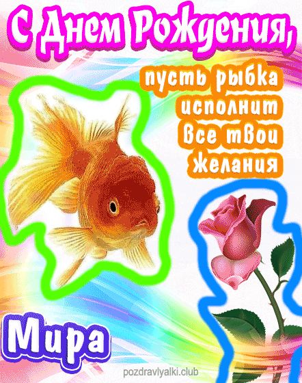 С днем рождения Мира пусть рыбка исполнит все твои желания