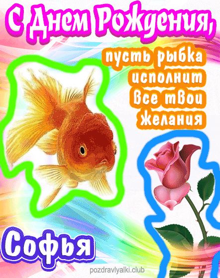 С днем рождения Софья пусть рыбка исполнит все твои желания