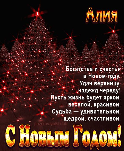 Алия С Новым Годом картинка строгая