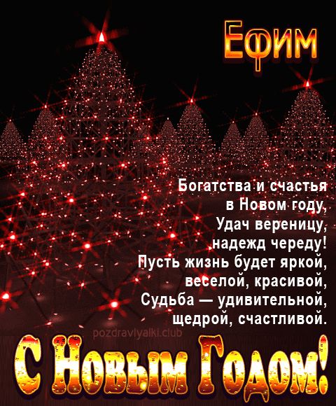 Ефим С Новым Годом картинка строгая