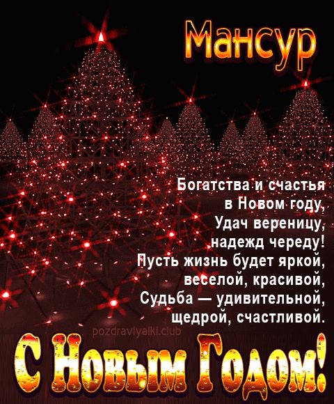 Мансур С Новым Годом картинка строгая