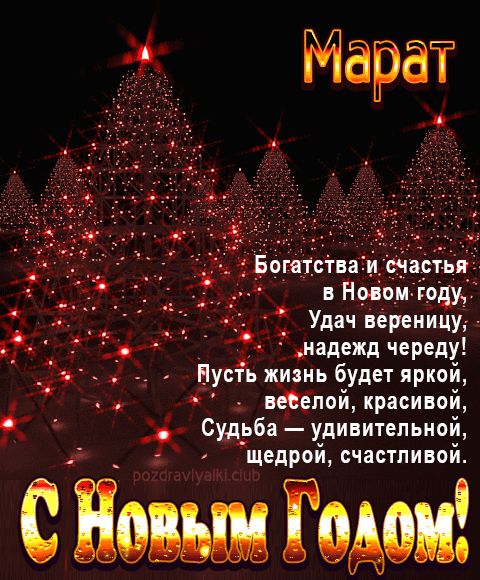 Марат С Новым Годом картинка строгая