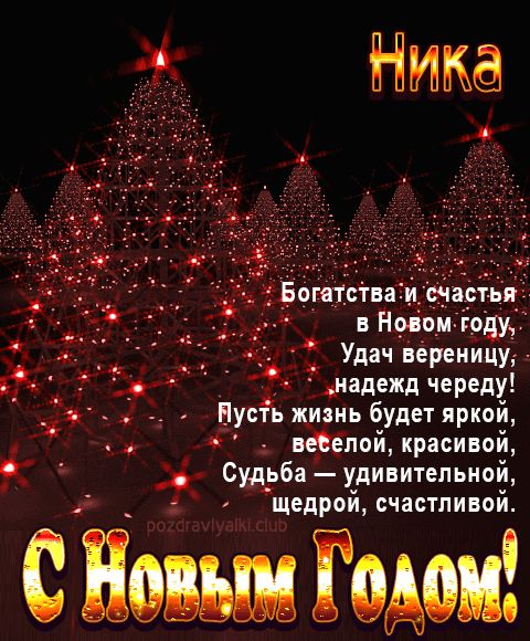 Ника С Новым Годом картинка строгая