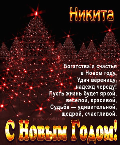 Никита С Новым Годом картинка строгая