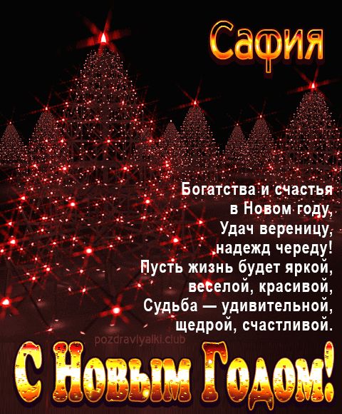 Сафия С Новым Годом картинка строгая