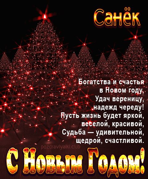 Санёк С Новым Годом картинка строгая