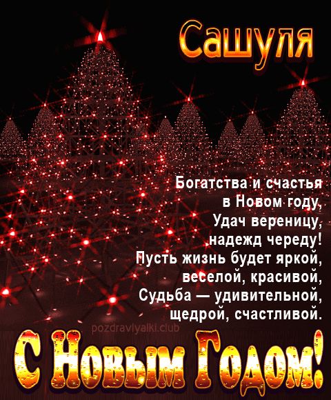 Сашуля С Новым Годом картинка строгая