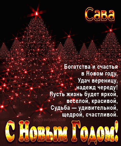 Сава С Новым Годом картинка строгая