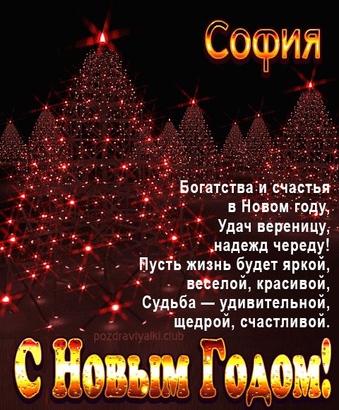 София С Новым Годом картинка строгая