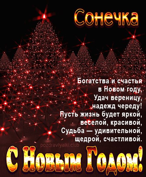 Сонечка С Новым Годом картинка строгая