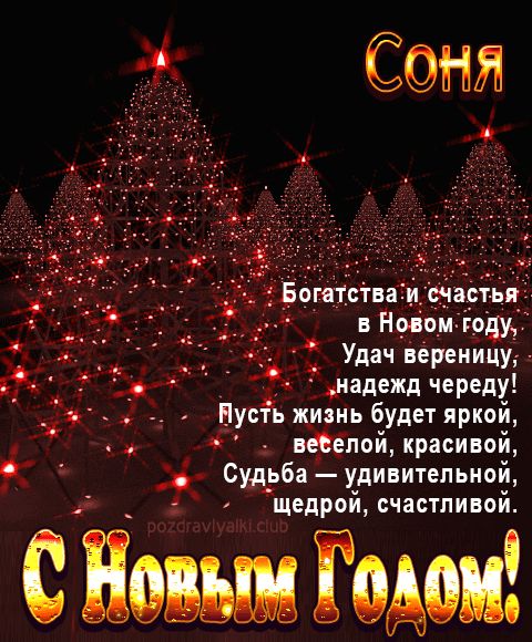 Соня С Новым Годом картинка строгая