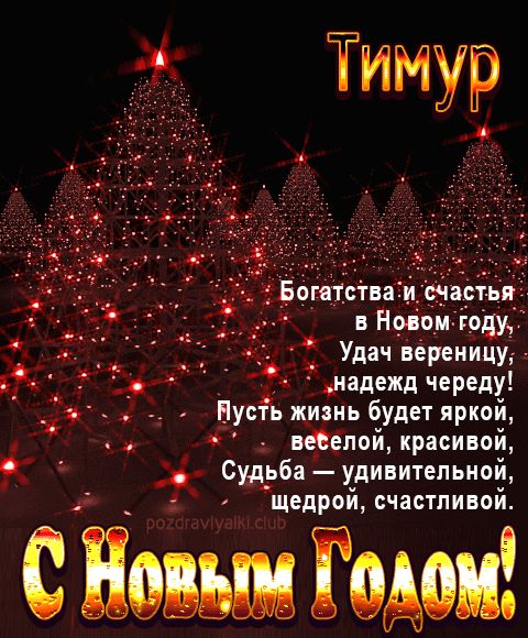 Тимур С Новым Годом картинка строгая