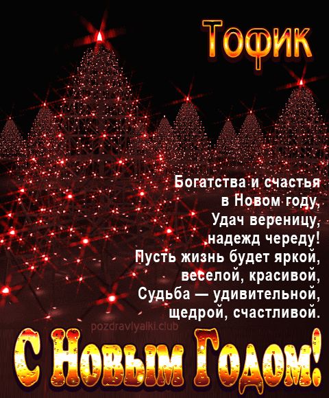 Тофик С Новым Годом картинка строгая