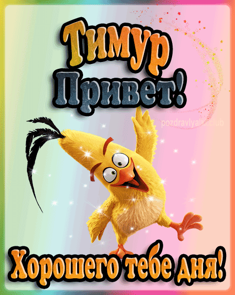 Привет Тимур хорошего тебе дня открытка гифка
