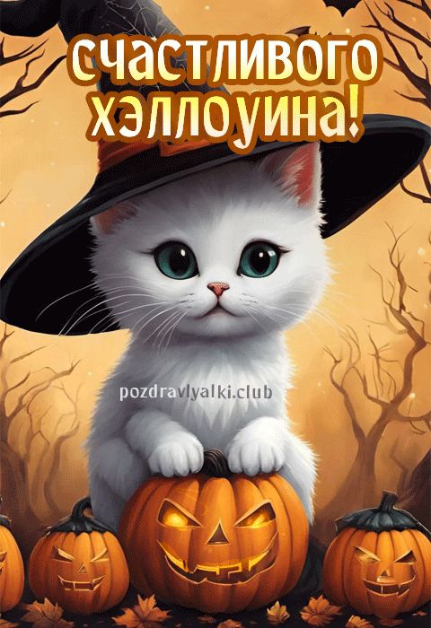 Счастливого хэллоуина открытка с милым котиком